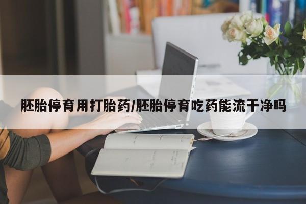 流产药微信购买联系方式胚胎停育用打胎药/胚胎停育吃药能流干净吗